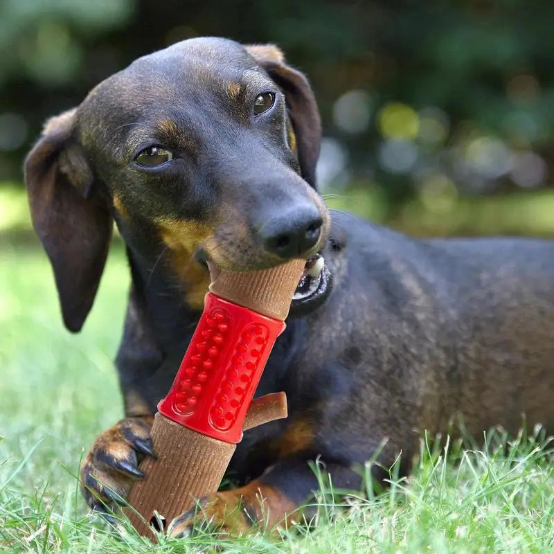 BambooJoy™ | Robuust Bamboe Kauwspeeltje