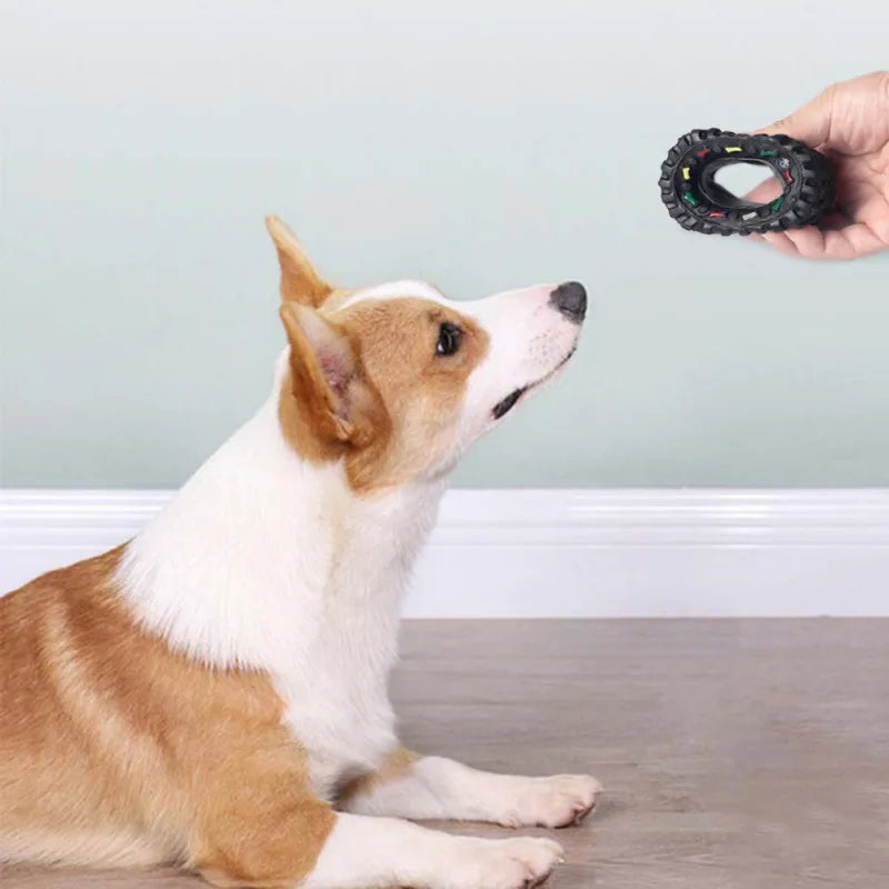 PupWheel™ | Krachtige Speelwiel Bal