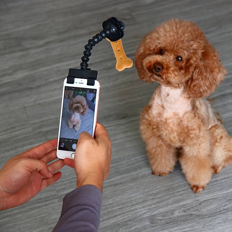 PawPose™ | Draagbaar en Professioneel