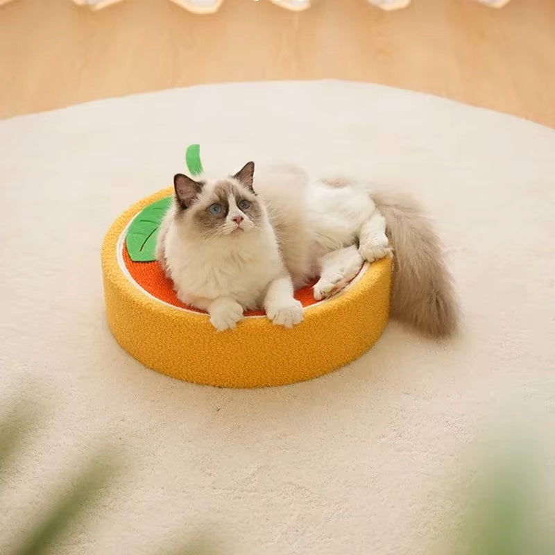 CatCraze™ | Verlicht Stress en Verhoog het Welzijn