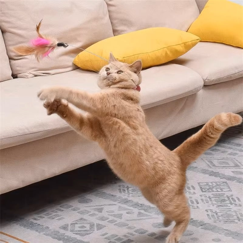 PawSpark™ | Stimuleert beweging en vermindert kattenstress