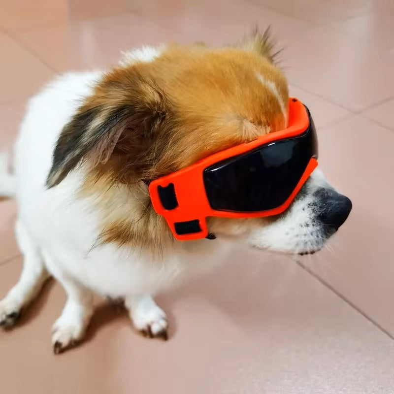 PupVisor™ | Trendy UV-Hondenbril