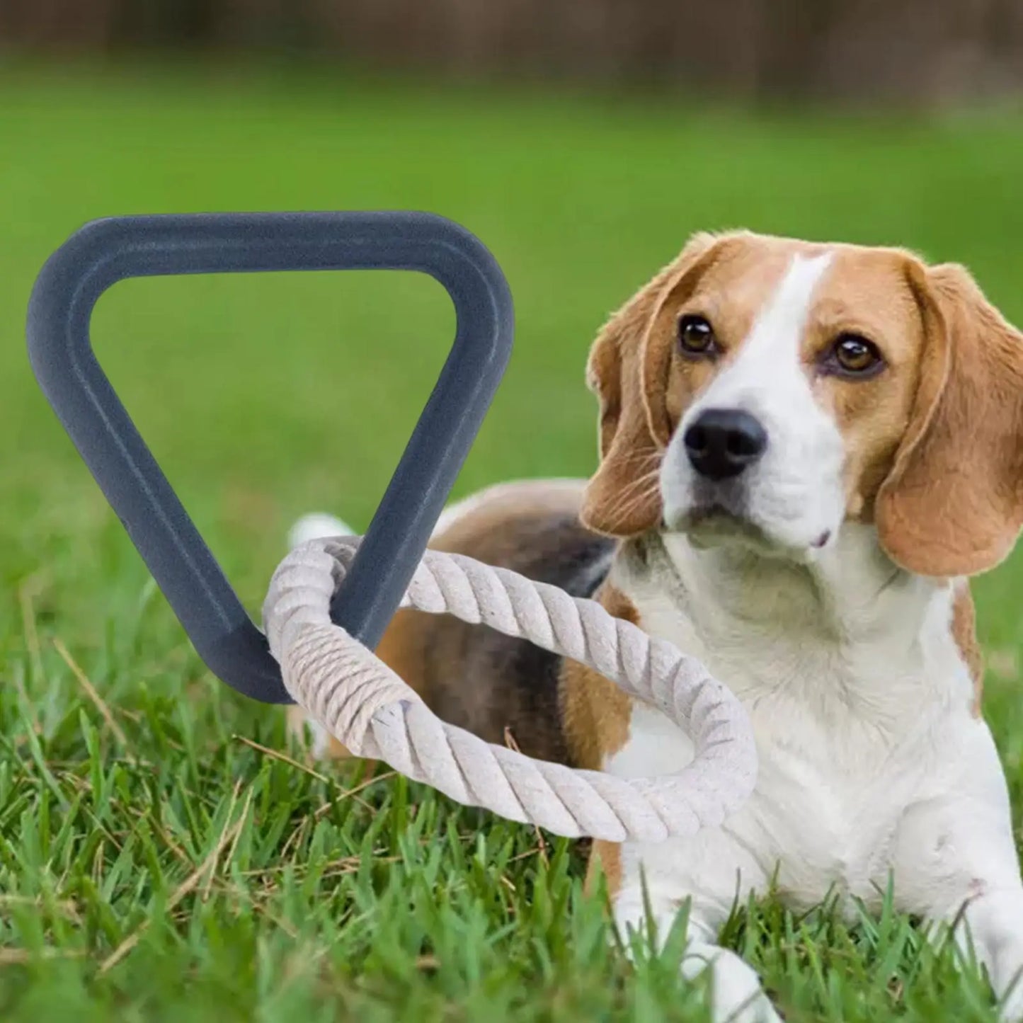 RopieDog™ | Robuust Honden Speeltje