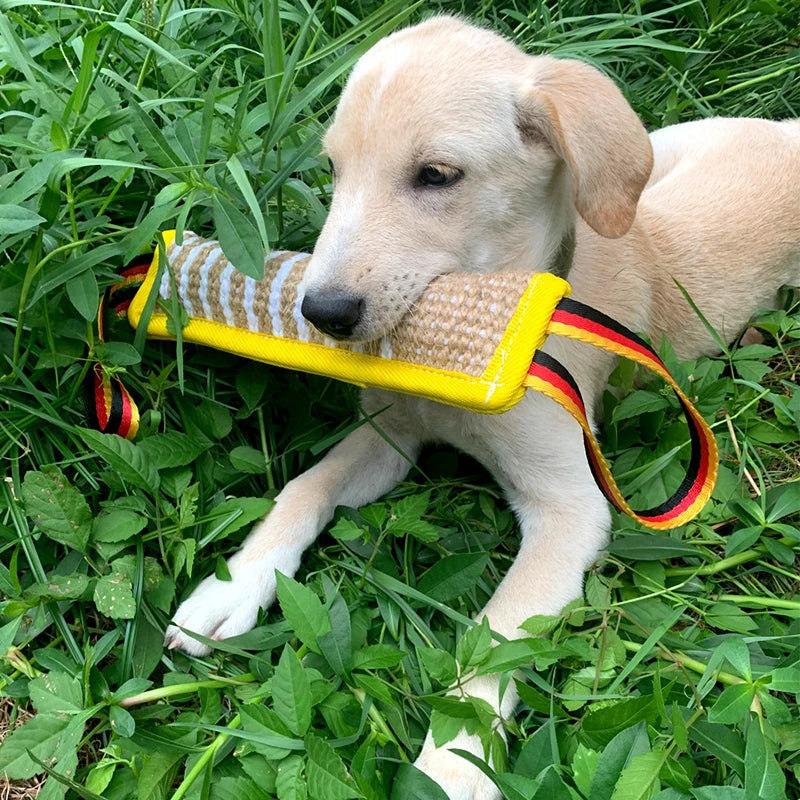 DogGrip™ | Ultieme Bijtkussen voor Honden