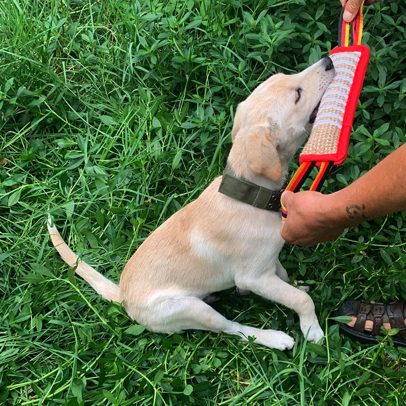 DogGrip™ | Ultieme Bijtkussen voor Honden