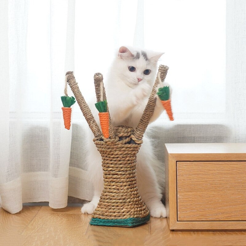 PawPeak™ | De Ultieme Kattenparadijs Krabpaal