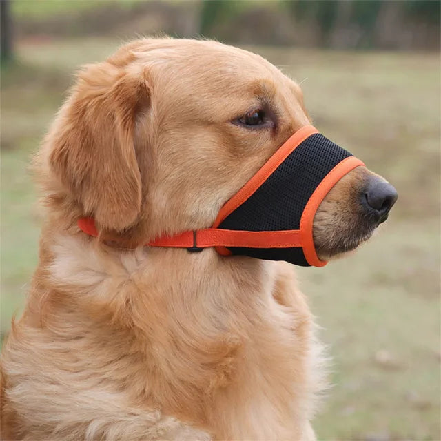 SoftSnout™ | Voorkom blaffen en bijten