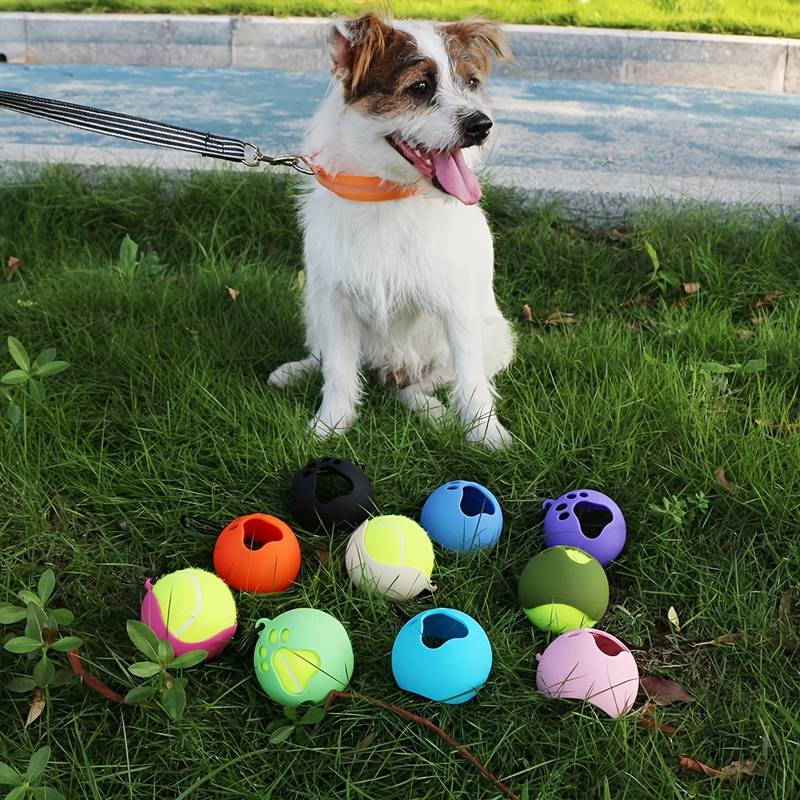PawBall™ | Balhouder voor Zorgeloos Spel