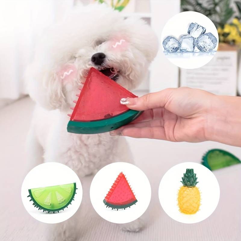 CoolPawz™ | De Ultieme Zomerverkoeling!