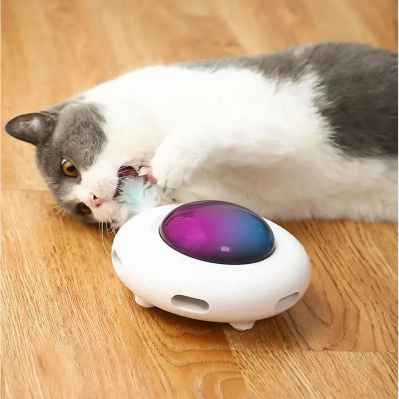 PurrFly™ | Vrolijk en Actief Speelgoed