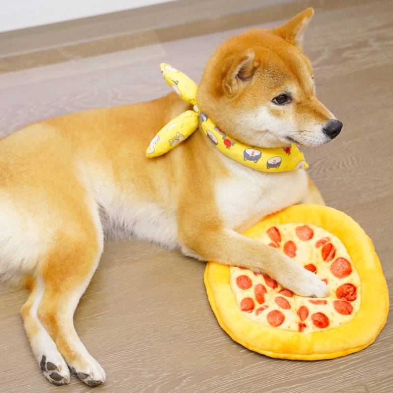 PupPiezza™ | Versterk Tanden en Verbeter Gedrag in Één