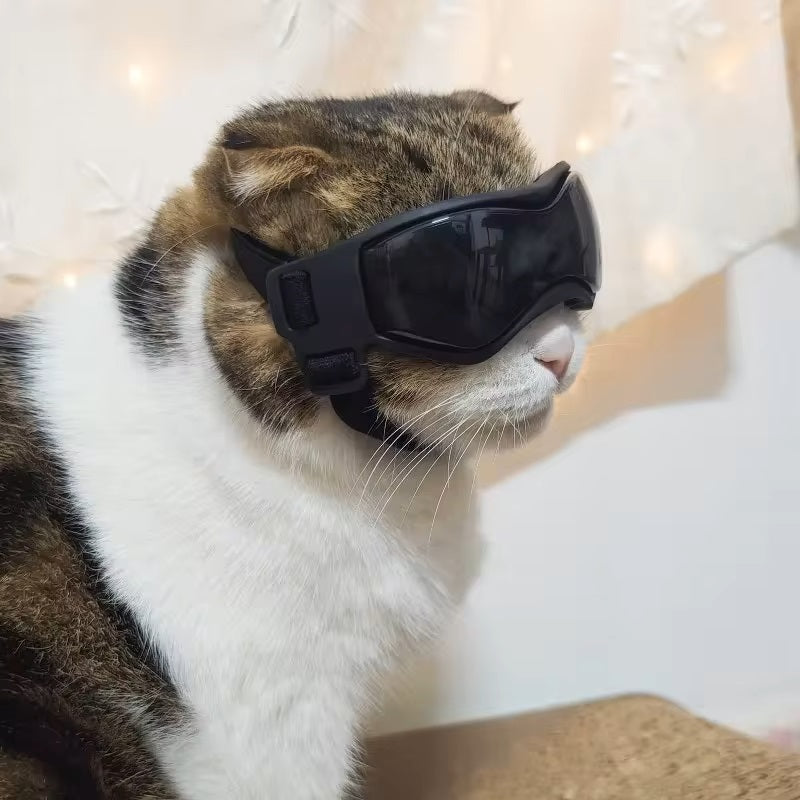 PupVisor™ | Trendy UV-Hondenbril