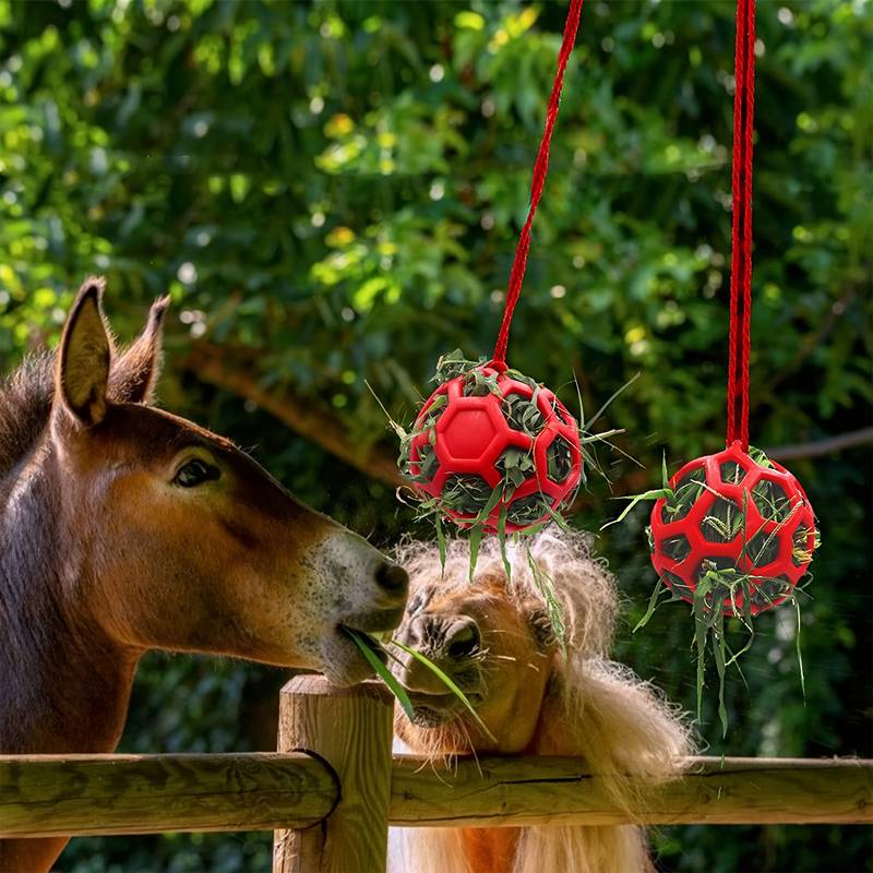 FoalFeast™ | Snackbal voor Paarden & Geiten