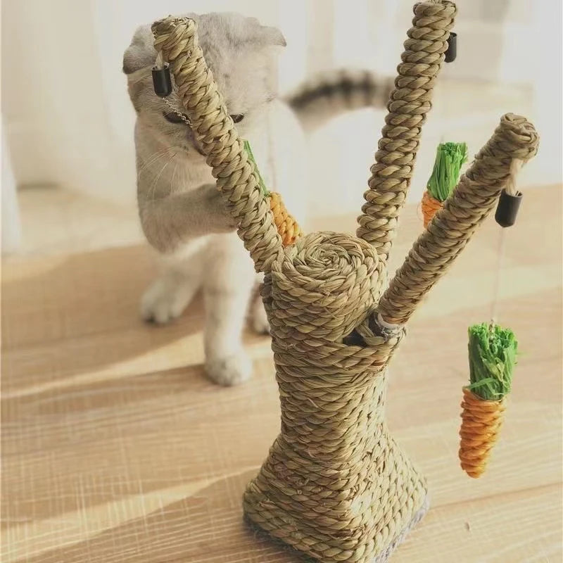 PawPeak™ | De Ultieme Kattenparadijs Krabpaal