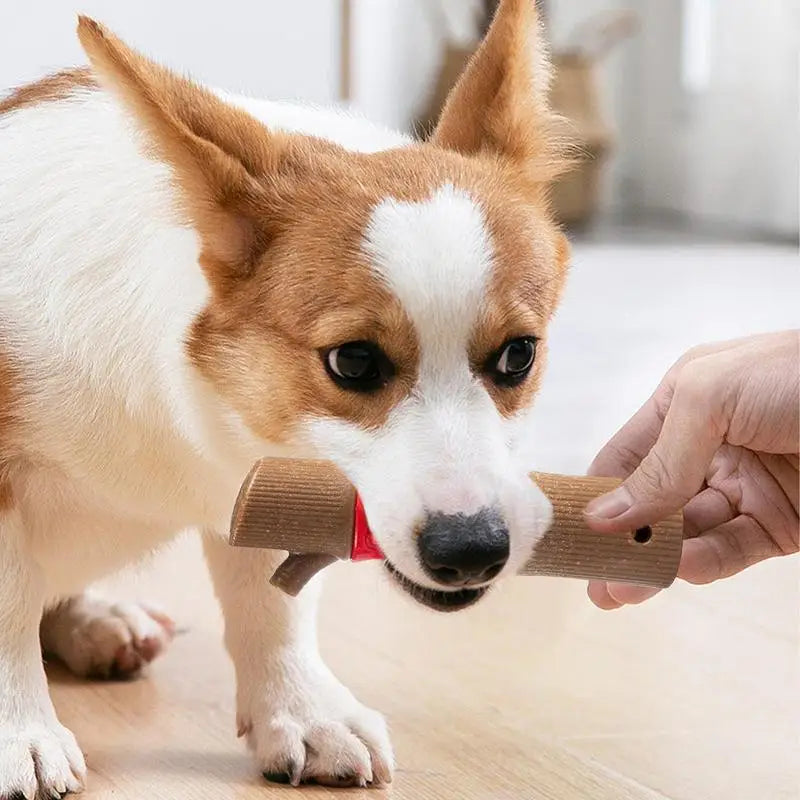 BambooJoy™ | Robuust Bamboe Kauwspeeltje