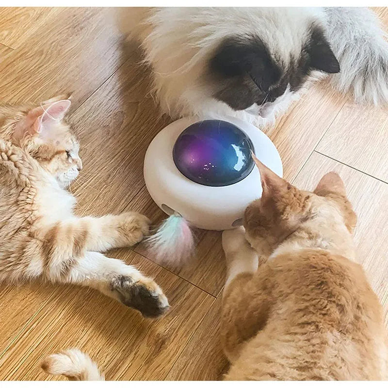 PurrFly™ | Vrolijk en Actief Speelgoed