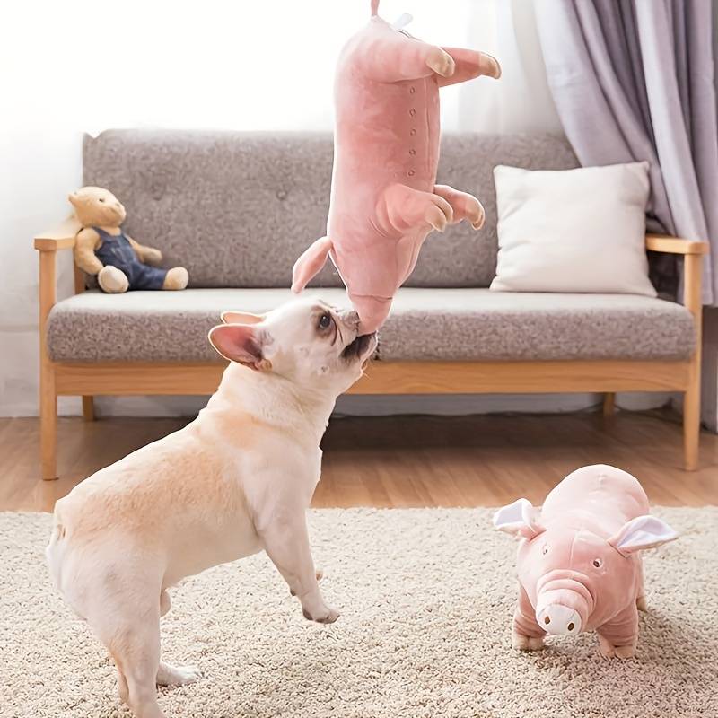 PigPals™ | Verminder Angst en Energie!