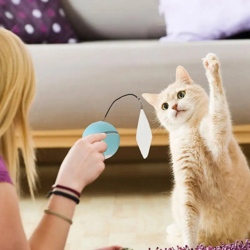 CatJolly™ | Slimme Speelbal voor Huisdieren