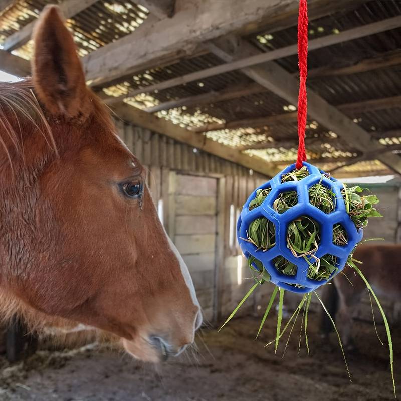 FoalFeast™ | Snackbal voor Paarden & Geiten
