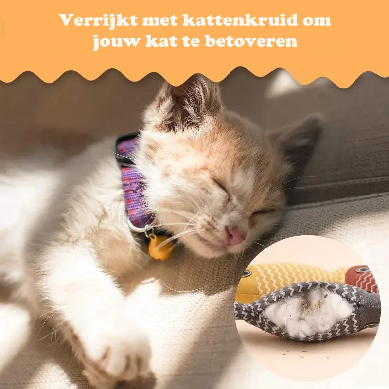 CoralCat™ | Visvormig kattenkruidspeeltje