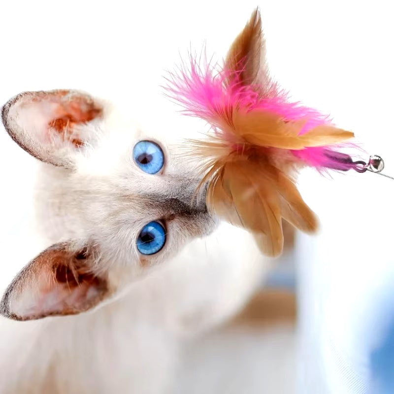 PawSpark™ | Stimuleert beweging en vermindert kattenstress