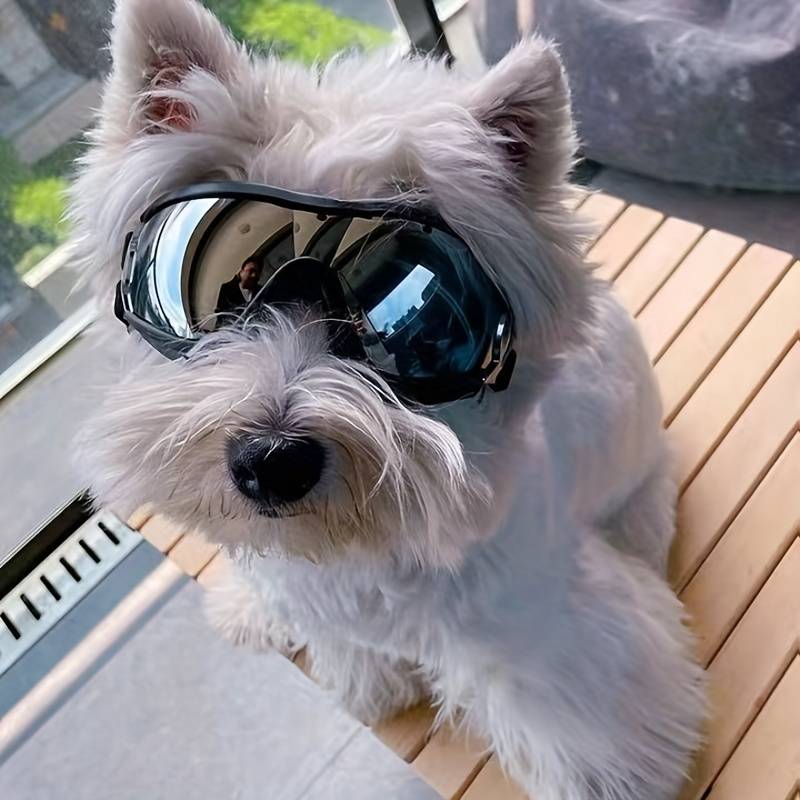 PupVisor™ | Trendy UV-Hondenbril