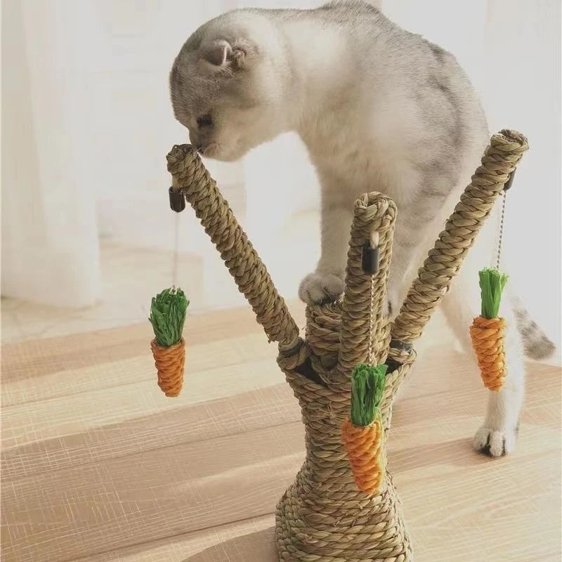PawPeak™ | De Ultieme Kattenparadijs Krabpaal