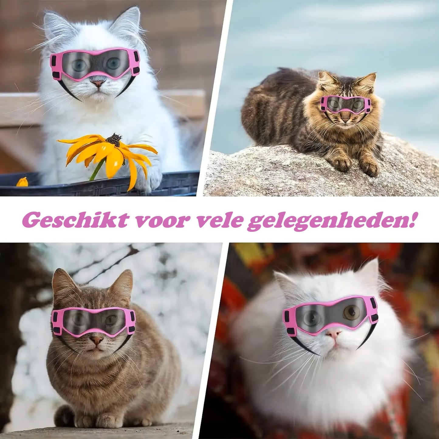 PupVisor™ | Trendy UV-Hondenbril