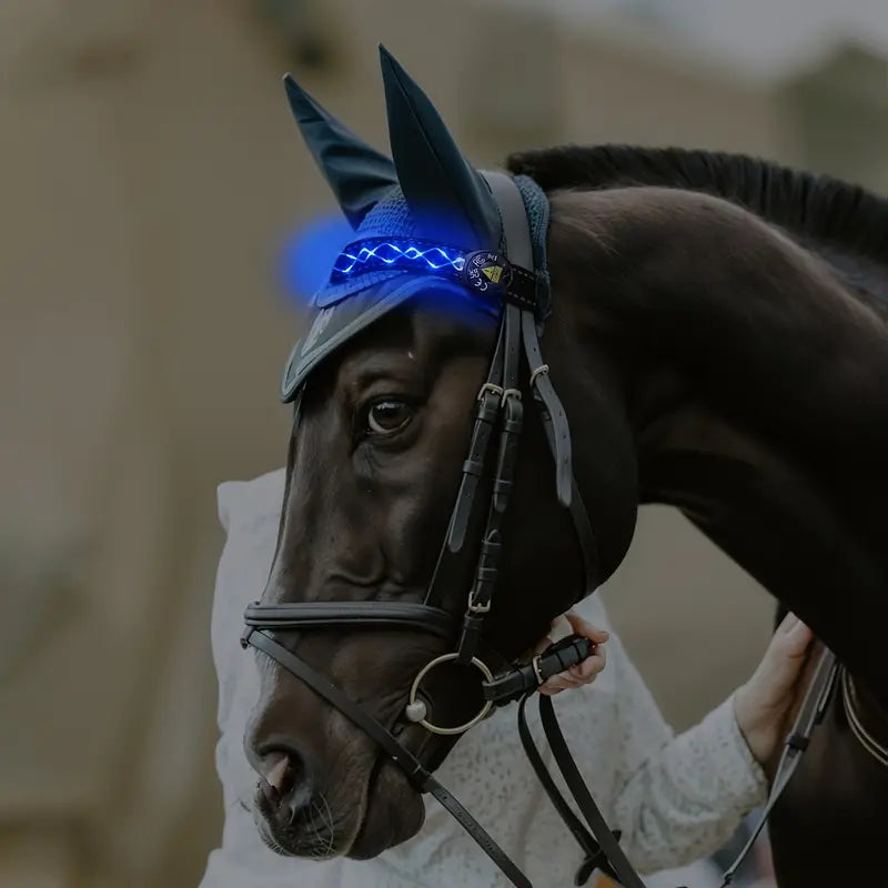 LumaRide™ | Veilige LED-verlichte hoofdriem voor paarden