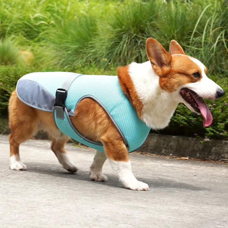 CoolBarker™ | Bescherm je Hond Tegen Hitte