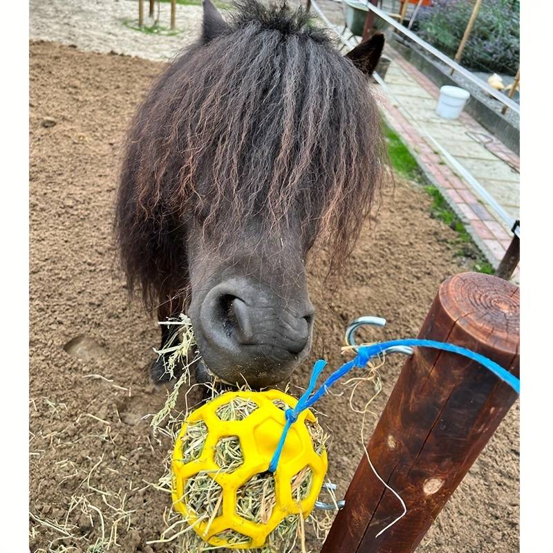 FoalFeast™ | Snackbal voor Paarden & Geiten