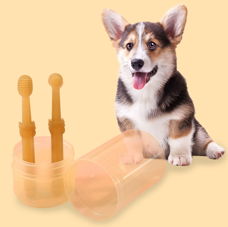 SmilePup™ | Voor de Ultieme Tandverzorging