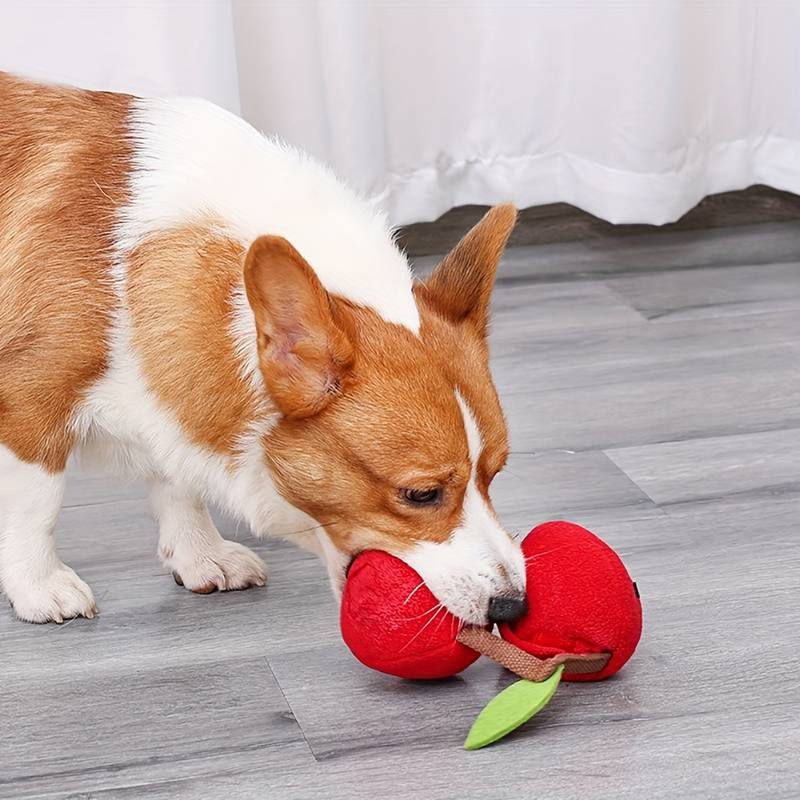 CherryPals™ | Traktatie Verstop Speelgoed