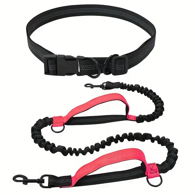 PawStrap™ | Hondenriem met veilige grip en schokdemping