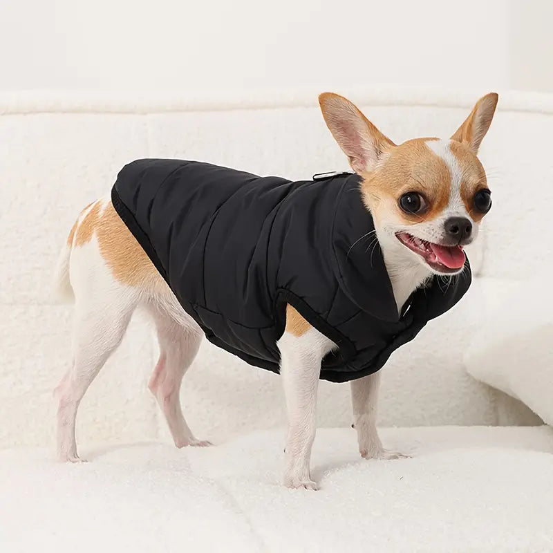 PawCoat™ | Waterdichte hondenjas