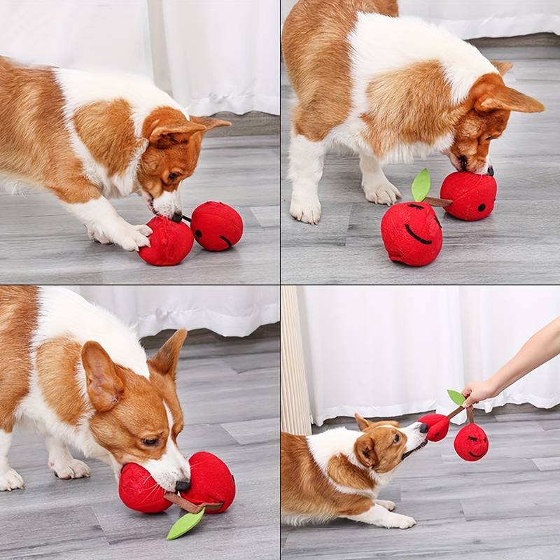 CherryPals™ | Traktatie Verstop Speelgoed