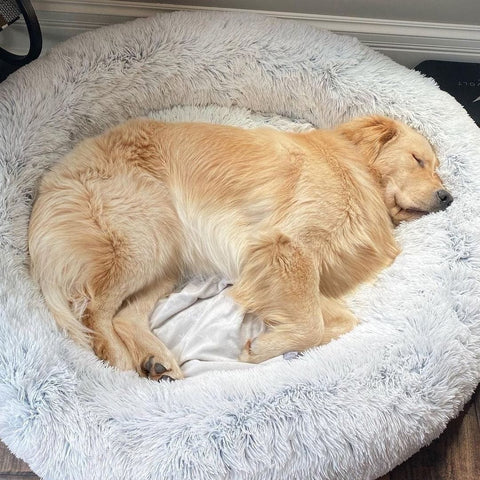 CozyPluche™ | Ultiem Comfort en Knuffelzacht