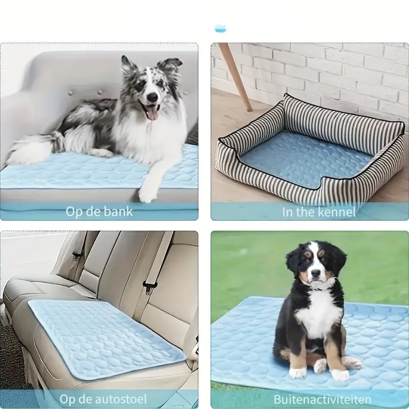 IcyWoof™ | De Beste Zomeroplossing