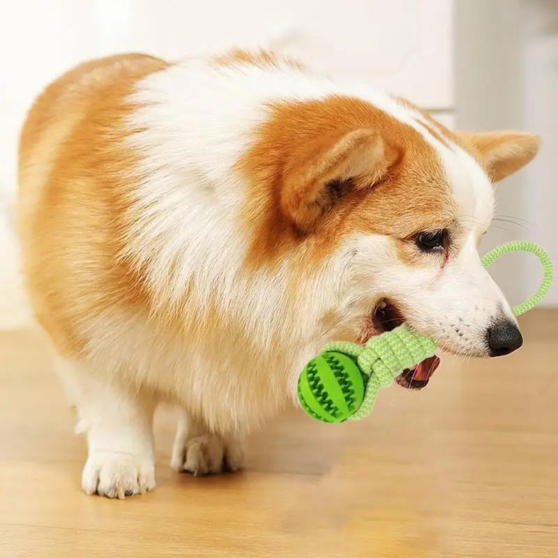 GrinBall™ | Combineert Spelen en Eten