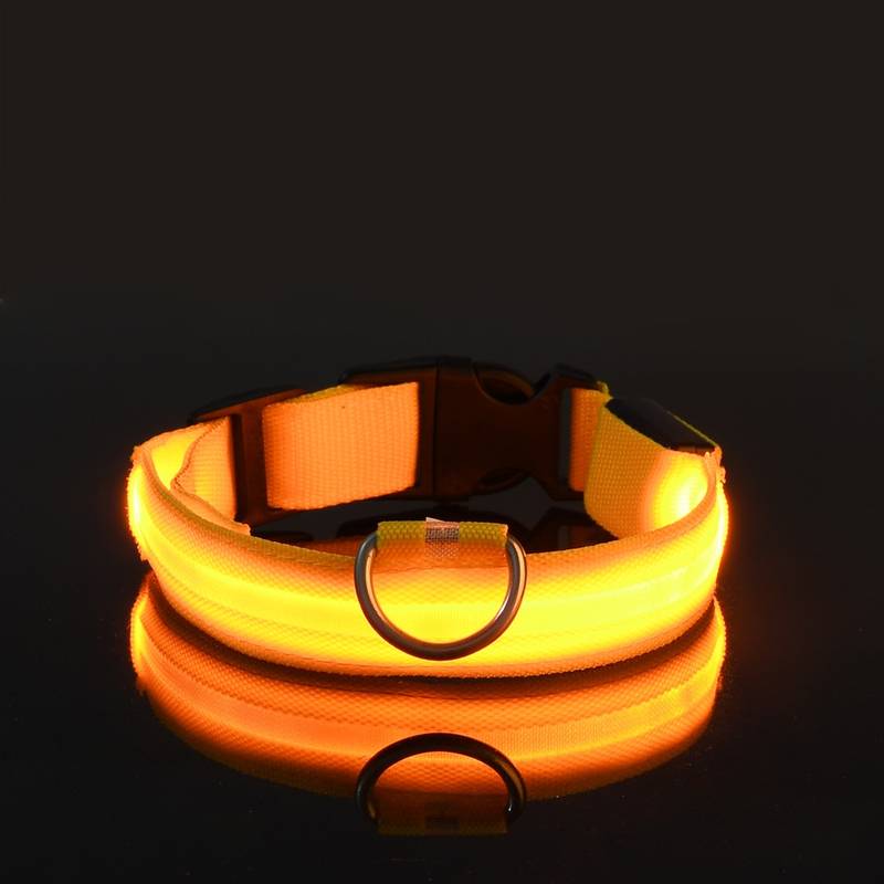 GlowDog™ | Verminder Angst Voor Aanrijdingen