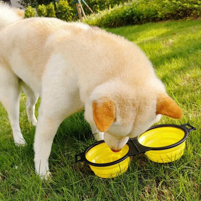 PupCup™ | 2-in-1 Compacte Reisdrinkbak