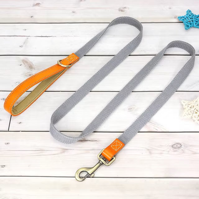 WalkPro™ | Perfecte Controle en Comfort