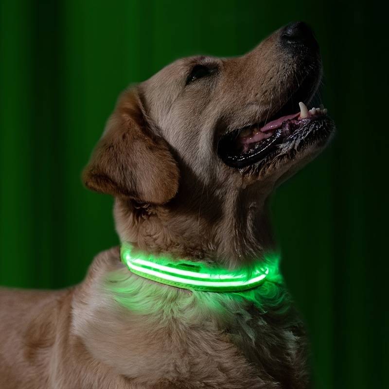 GlowDog™ | Verminder Angst Voor Aanrijdingen