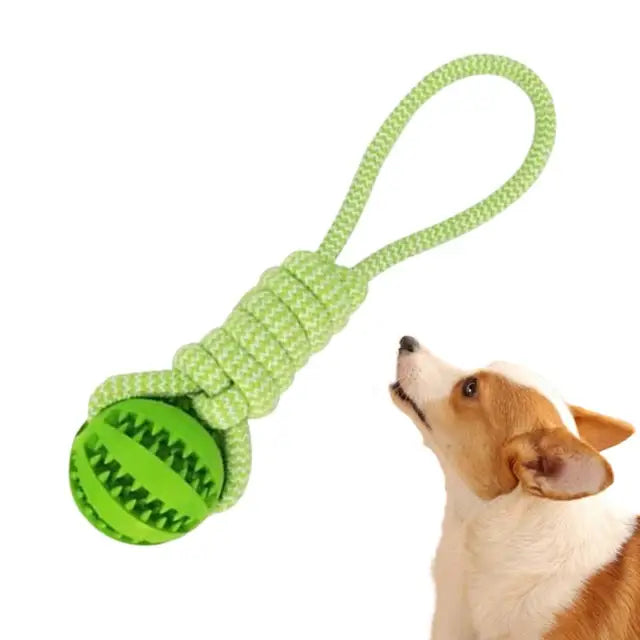 GrinBall™ | Combineert Spelen en Eten