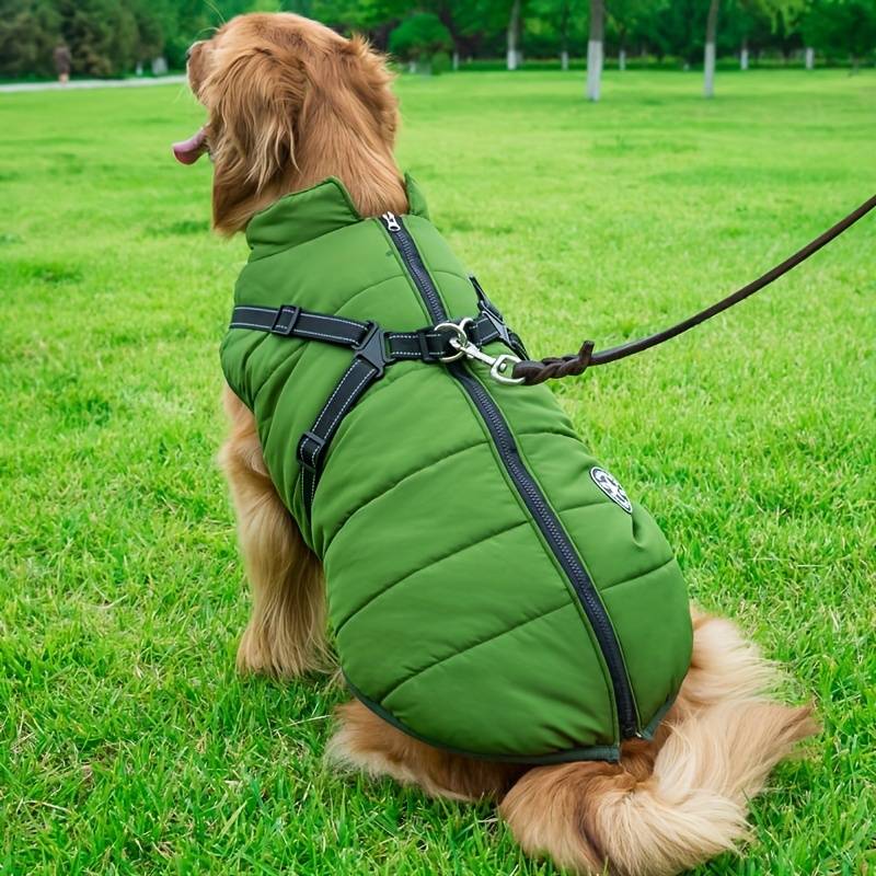 PawsDry™ | Houd Je Hond Warm en Droog