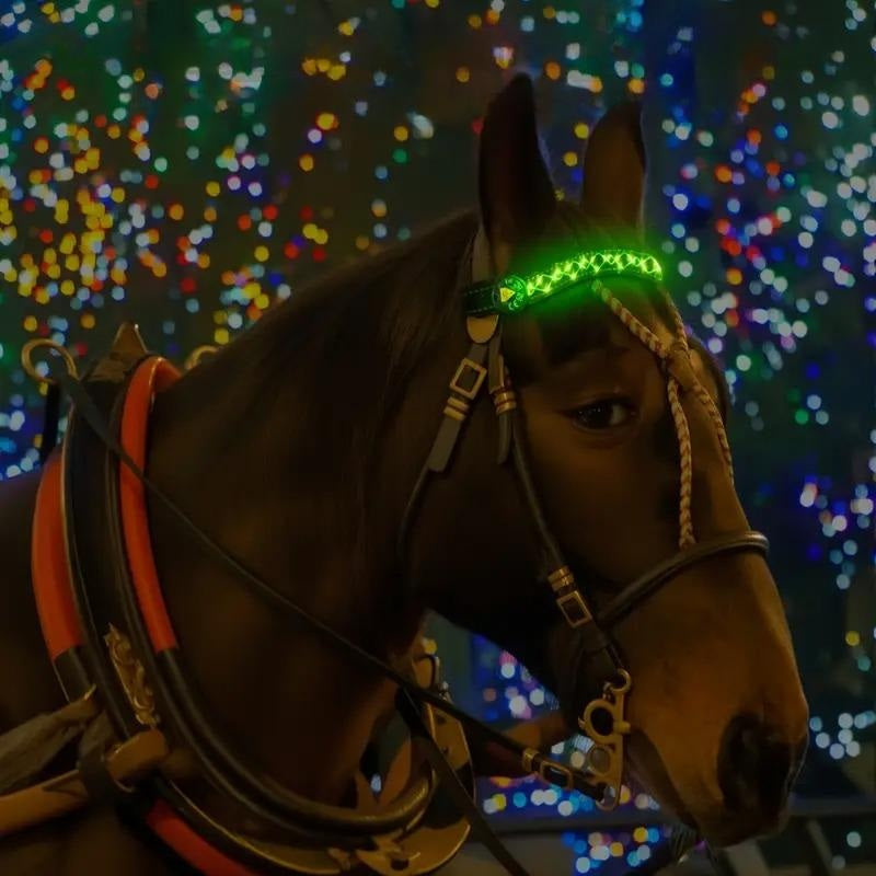 LumaRide™ | Veilige LED-verlichte hoofdriem voor paarden