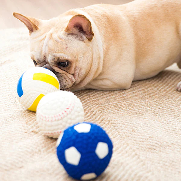 BiteBlitz™ | kauwspeeltje voor honden