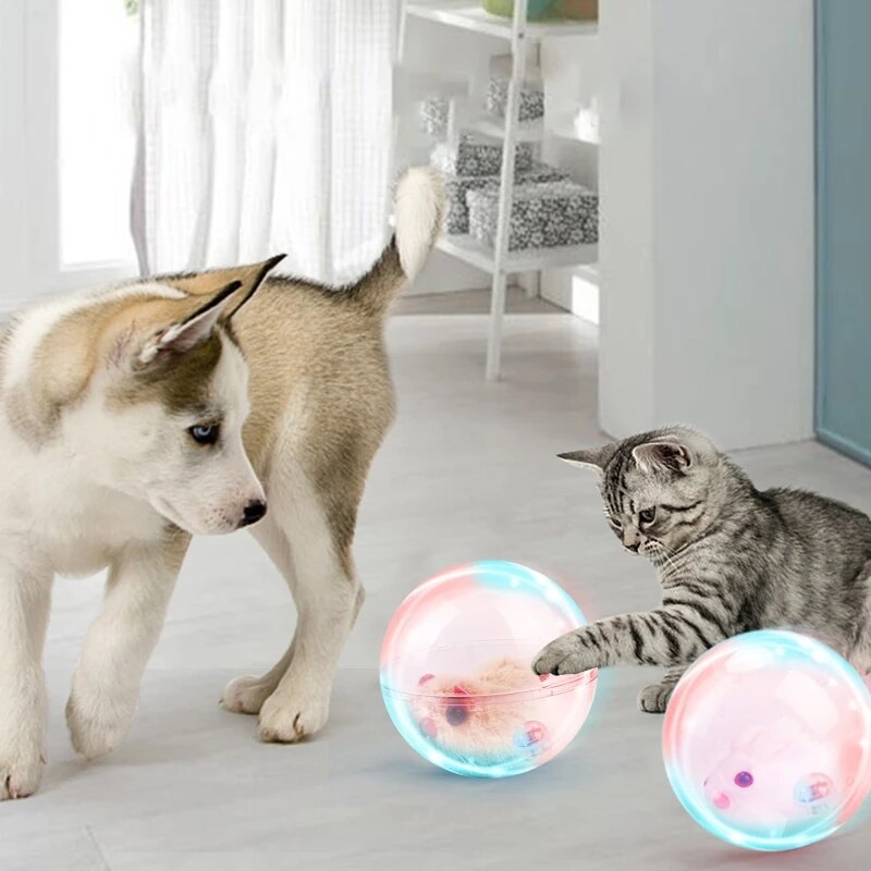 ZoomZing™ | Interactieve bal voor huisdieren