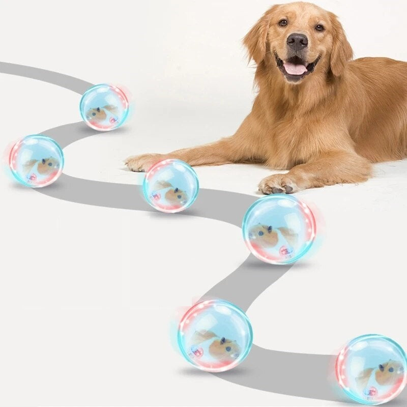 ZoomZing™ | Interactieve bal voor huisdieren