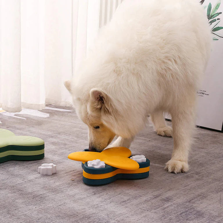 BarkBrain™ | Stimuleer Langzaam Eten en Verminder Stress